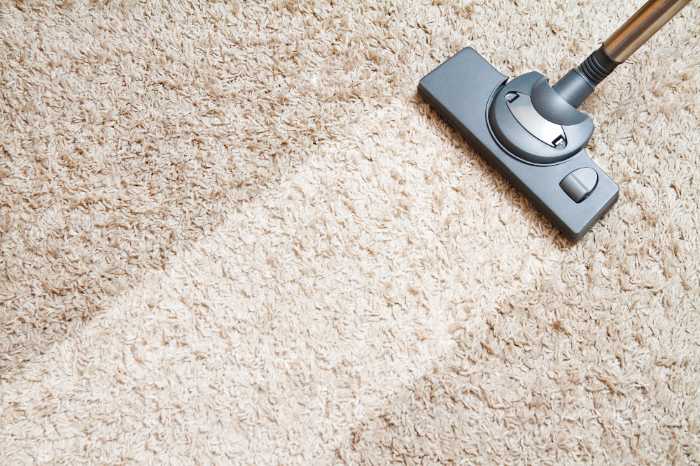 remove red wine stain from carpet