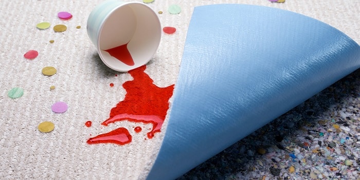 shaw floors pet perfect plus blue backing